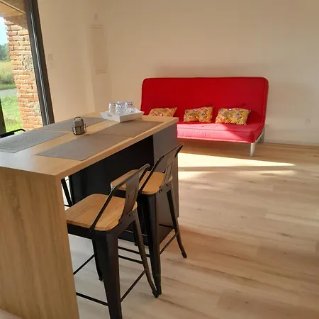 Dans Grange Renovee 아파트 Meilhan (Landes)